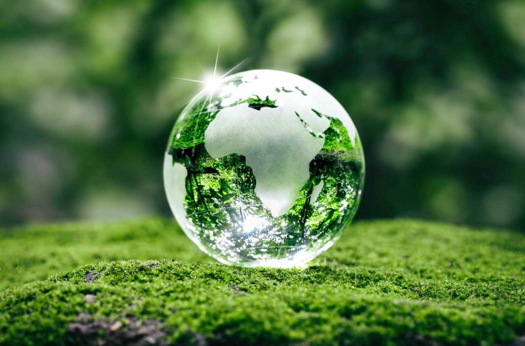 TFS HealthScience Earns Elevated Score from Carbon Disclosure Project (CDP)