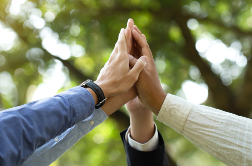 TFS Earns EcoVadis Silver Rating for Sustainability